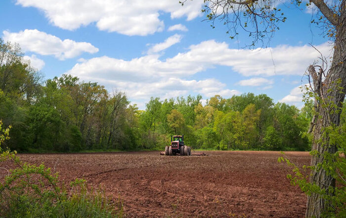 Farmland